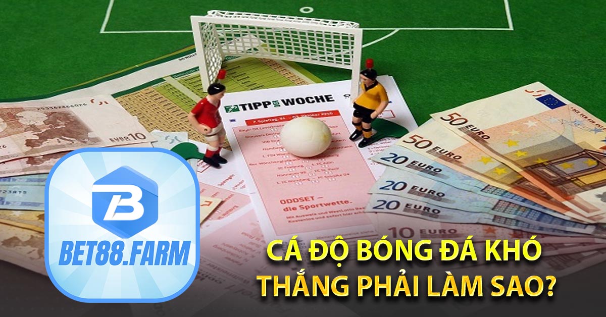 Cá độ bóng đá khó thắng phải làm sao?